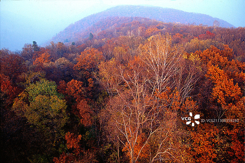 黑龙江省鹤岗市萝北县太平沟秋景图片素材