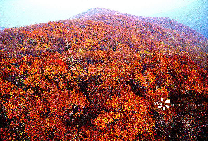 黑龙江省鹤岗市萝北县太平沟秋景图片素材