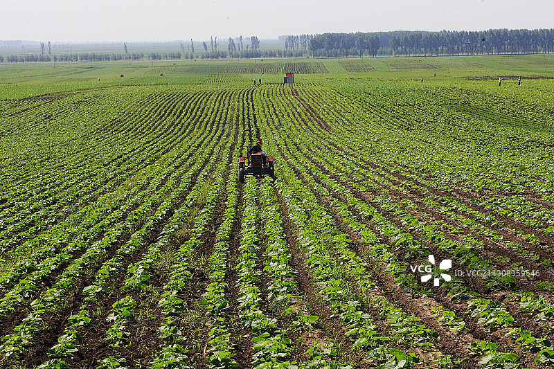 黑龙江省佳木斯市桦南县农田图片素材