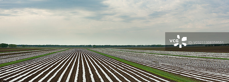 黑龙江省佳木斯市桦南县农田图片素材