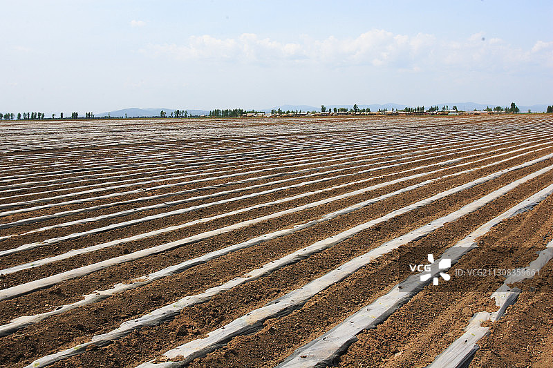 黑龙江省佳木斯市桦南县农田图片素材