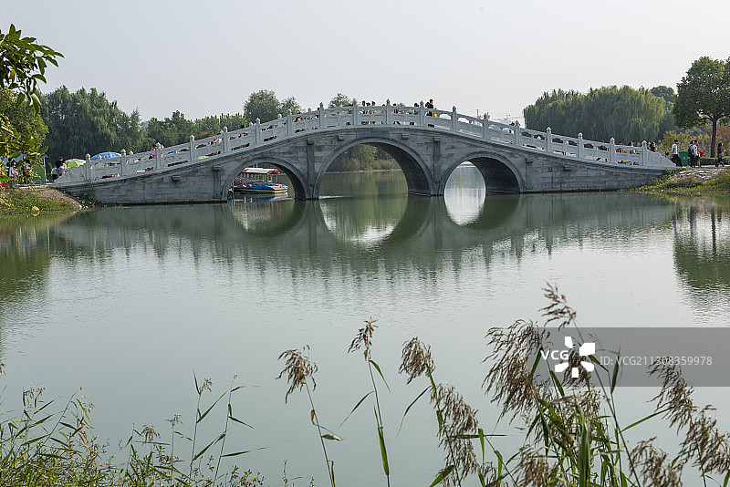 江苏省邳州沙沟湖水杉公园图片素材