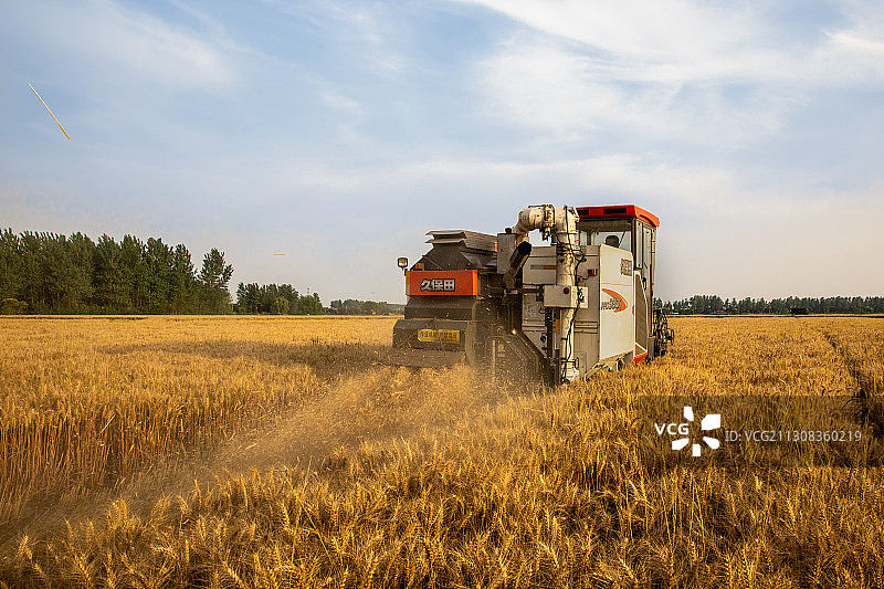 农民大丰收图片素材