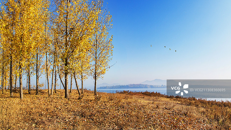 山东省日照市莒县秋景图片素材