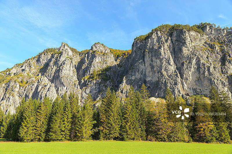 奥地利辛特斯托德尔的希德魏尔湖松树风景图片素材