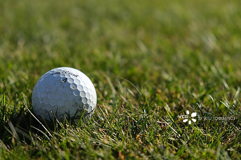 草地上的高尔夫球特写，新西兰皇后镇图片素材