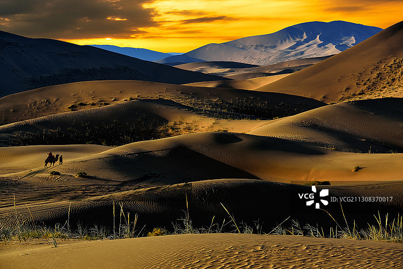 沙漠风情图片素材