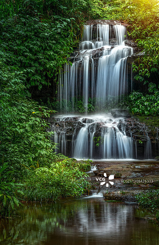 密林溪水。图片素材