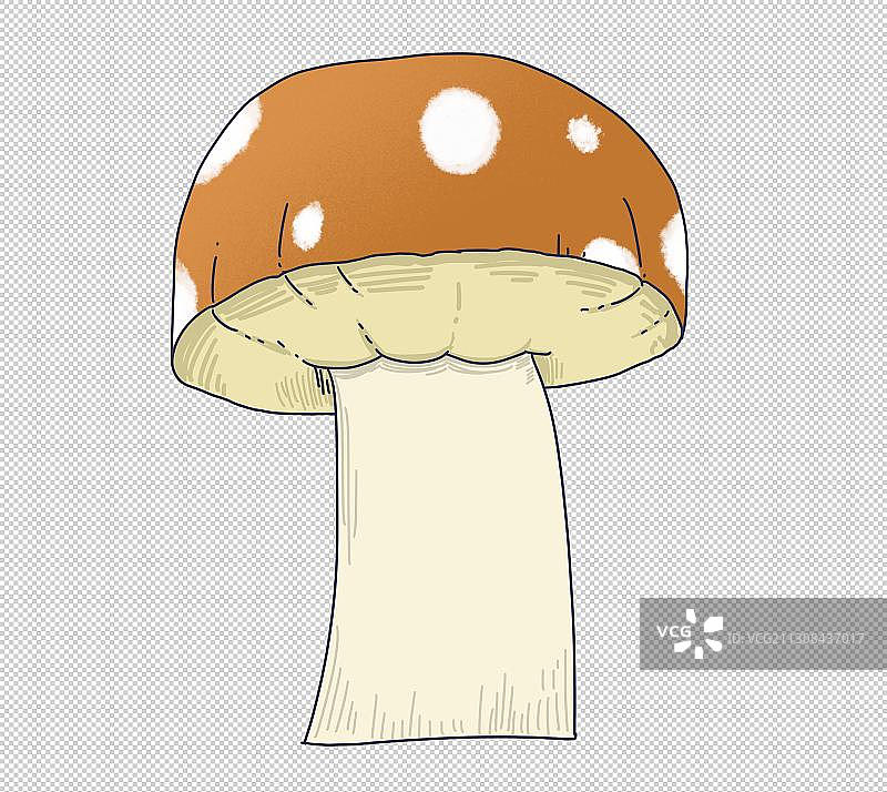 元素：蘑菇图片素材