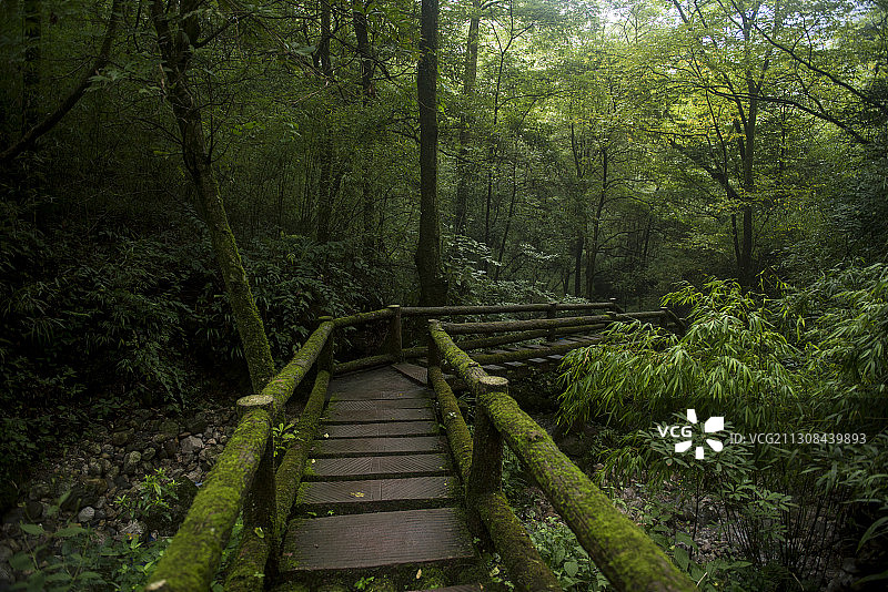 青城山后山风光图片素材