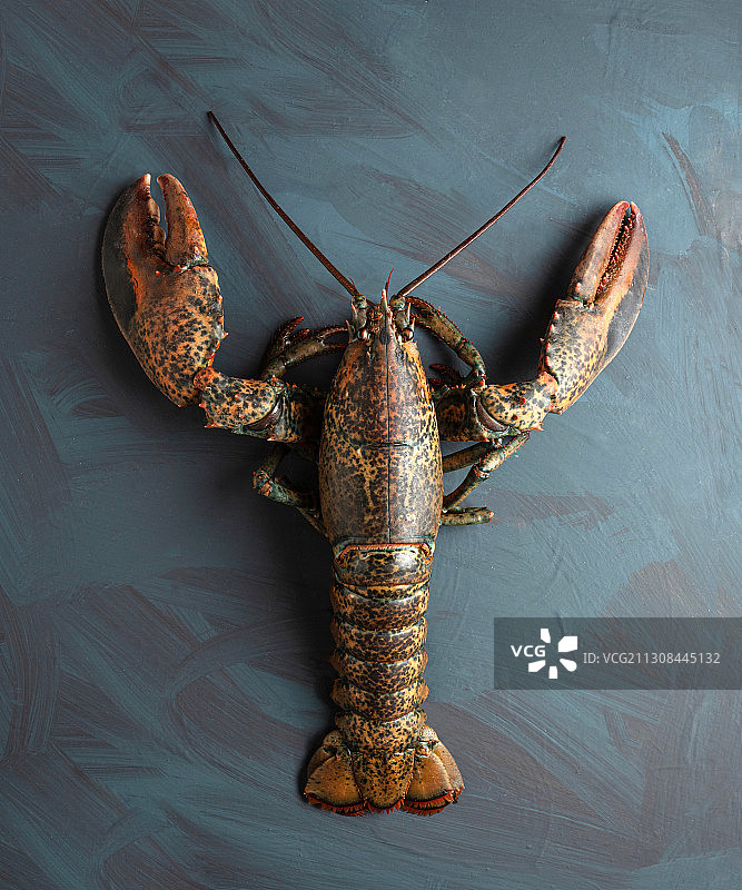 西班牙巴塞罗那象头神摆件俯视图图片素材