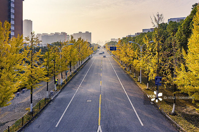 苏州园区的银杏路-林泉街图片素材