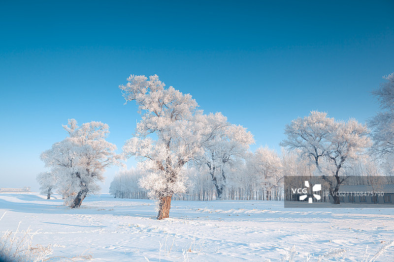 吉林省吉林市雾凇岛雾凇图片素材