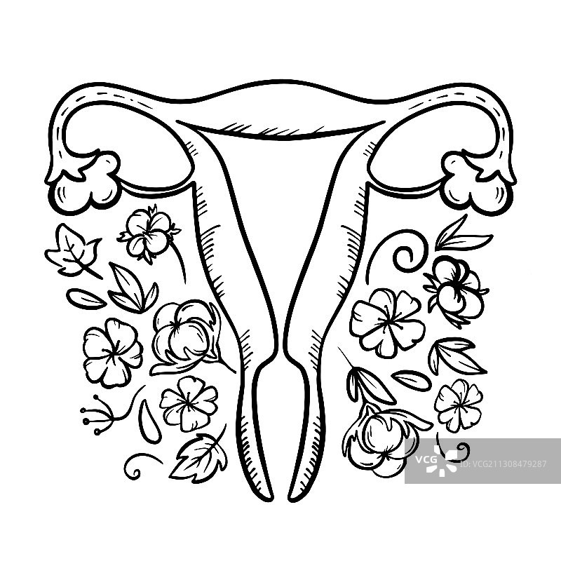 女性健康医药有机食品插画图片素材