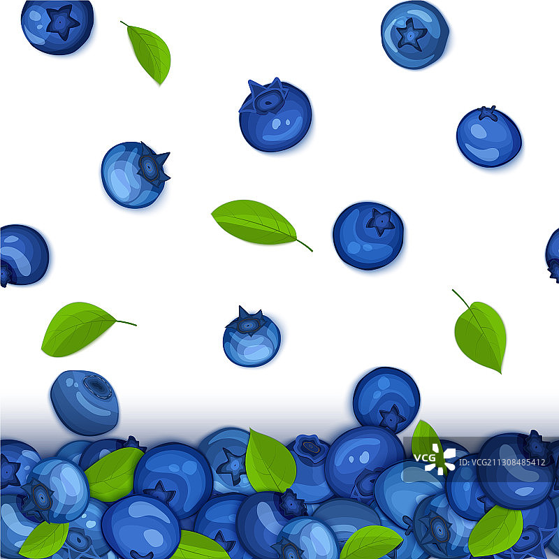 成熟的蓝莓掉落边框图片素材