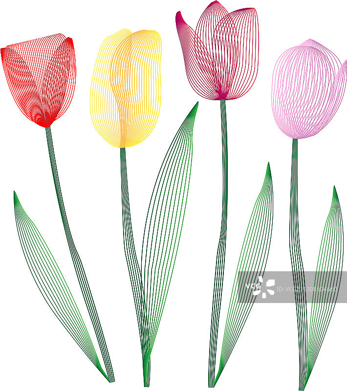 郁金香，油毡版画效果图片素材