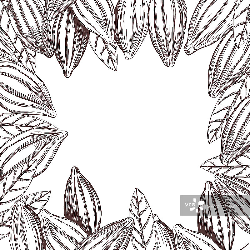 手绘可可豆草图背景图片素材