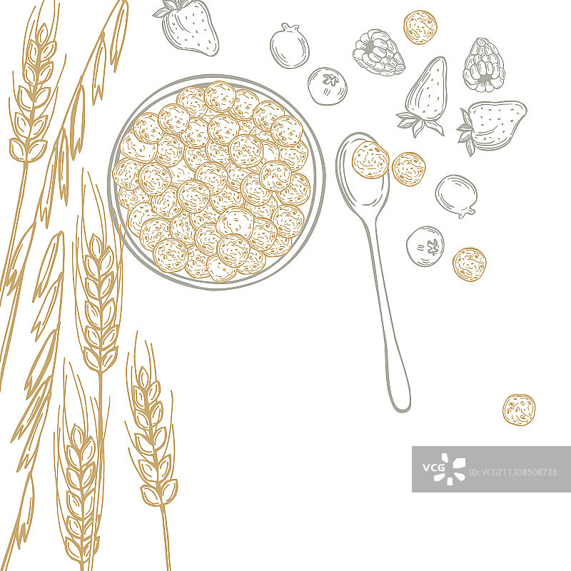 手绘早餐谷物背景草图图片素材