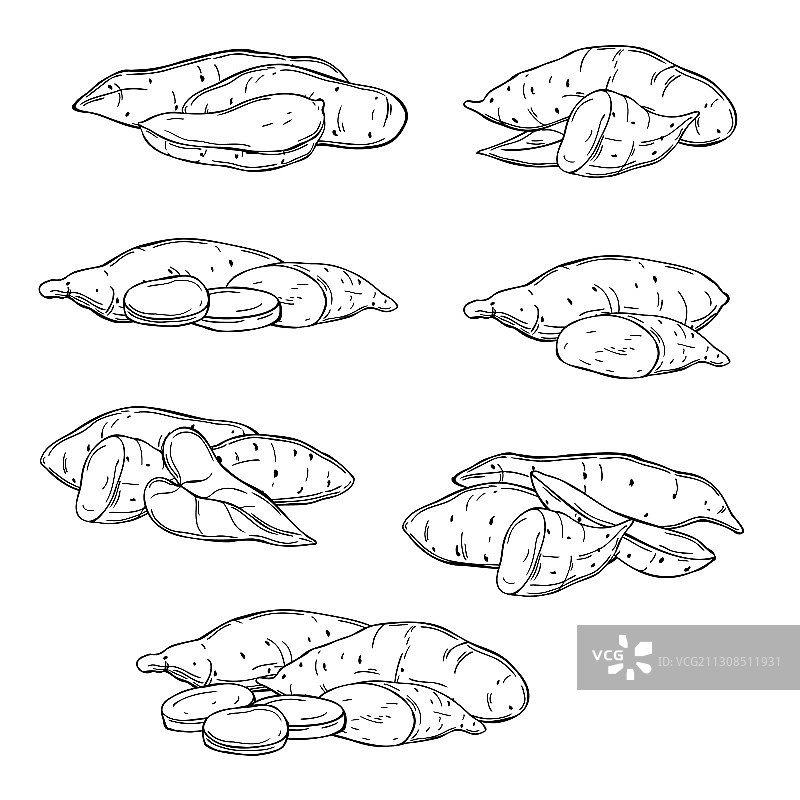 白色背景上的手绘红薯图片素材