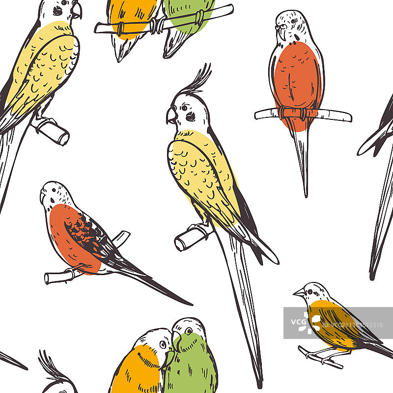 手绘鸟类鹦鹉和金丝雀无缝图案图片素材