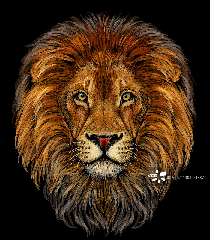 狮子彩色逼真肖像狮子头图片素材