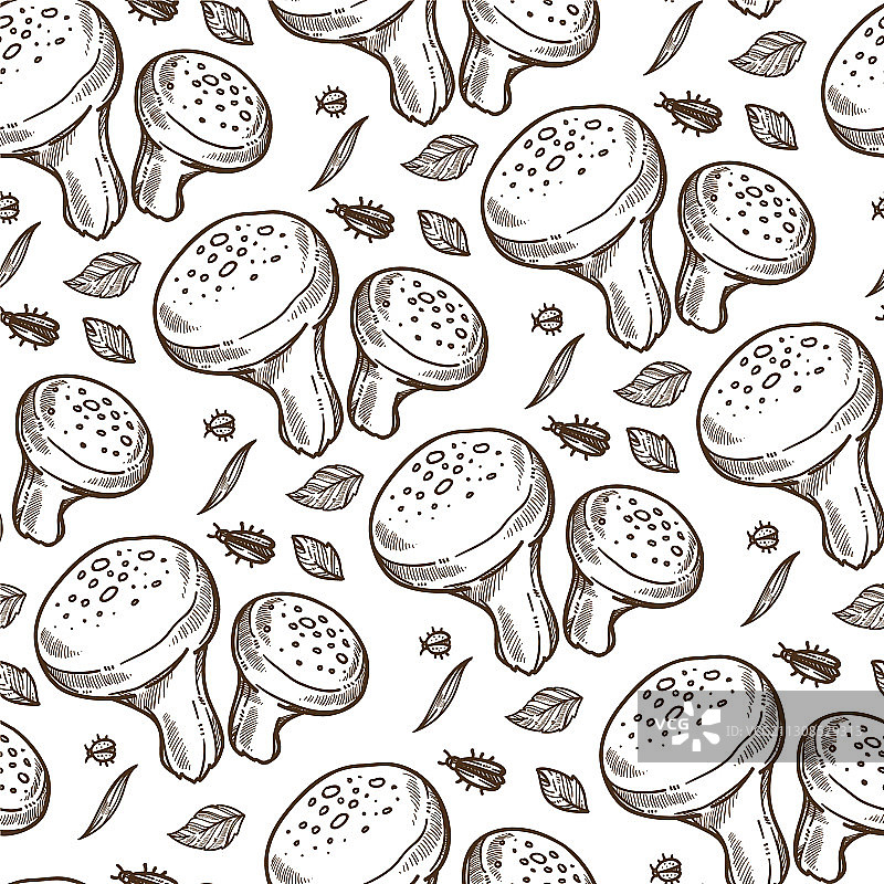 松茸蘑菇和树叶昆虫无缝图案图片素材