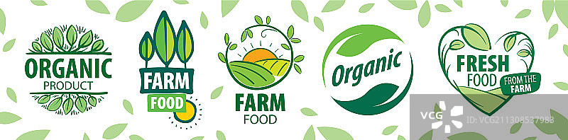 天然产品图标集图片素材