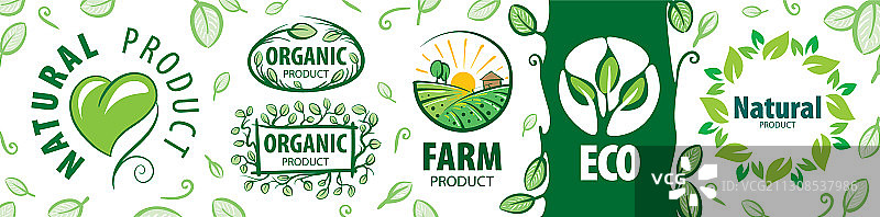 天然产品图标集图片素材