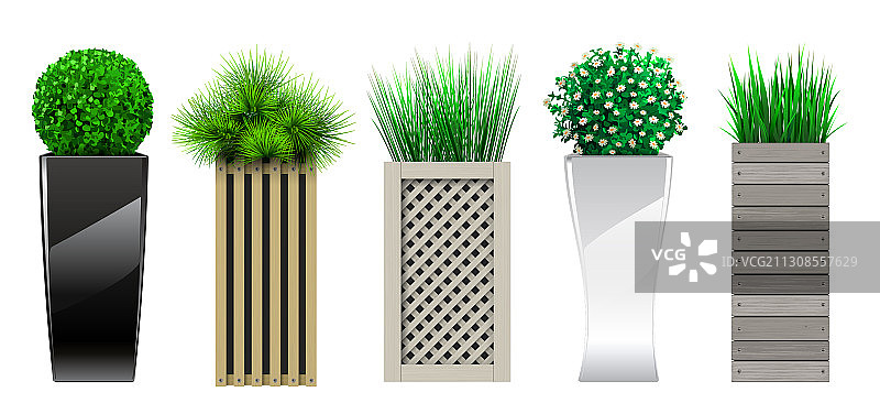 盆栽装饰图片素材