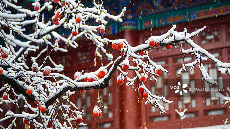 华清宫雪景图片素材