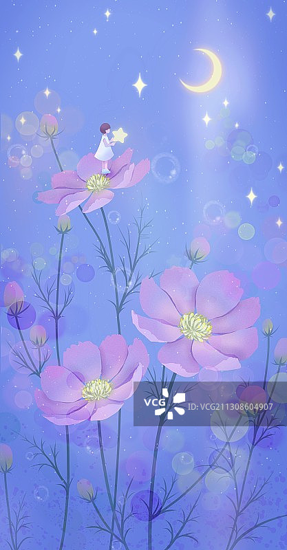 月光下的波斯菊和小精灵 唯美图片素材