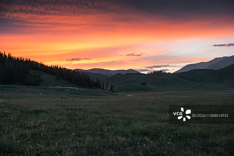 新疆阿勒泰地区喀纳斯贾登峪日落火烧云图片素材