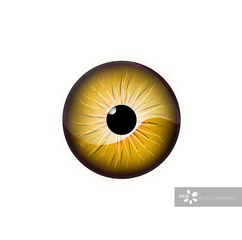 金色眼睛图片素材