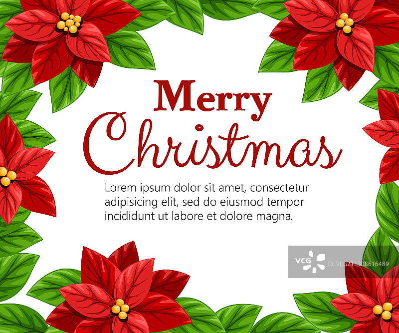 红色一品红花与绿叶图片素材