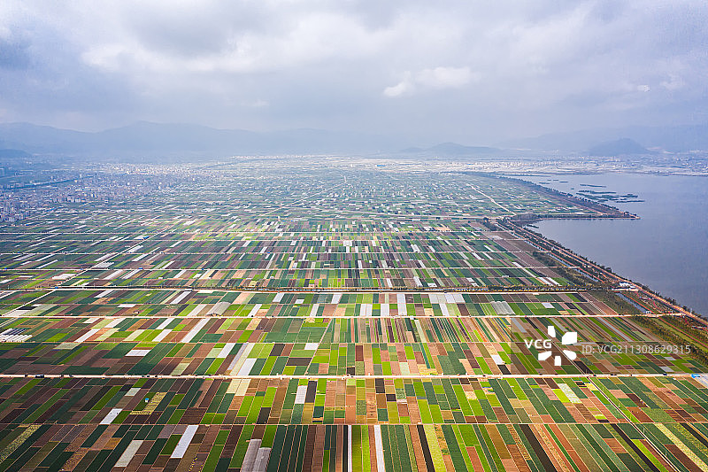 高视角航拍湖边农田图片素材
