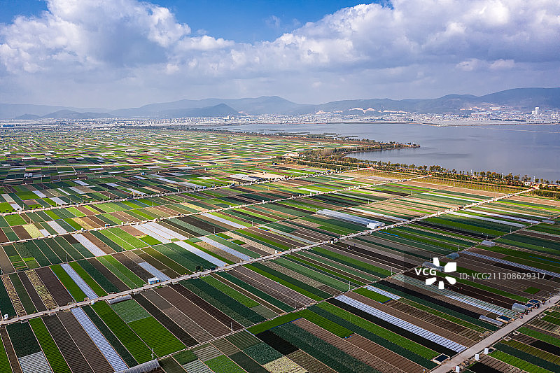 航拍湖边万亩农田图片素材