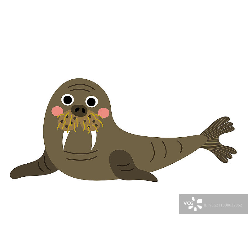 快乐的海象动物卡通形象图片素材
