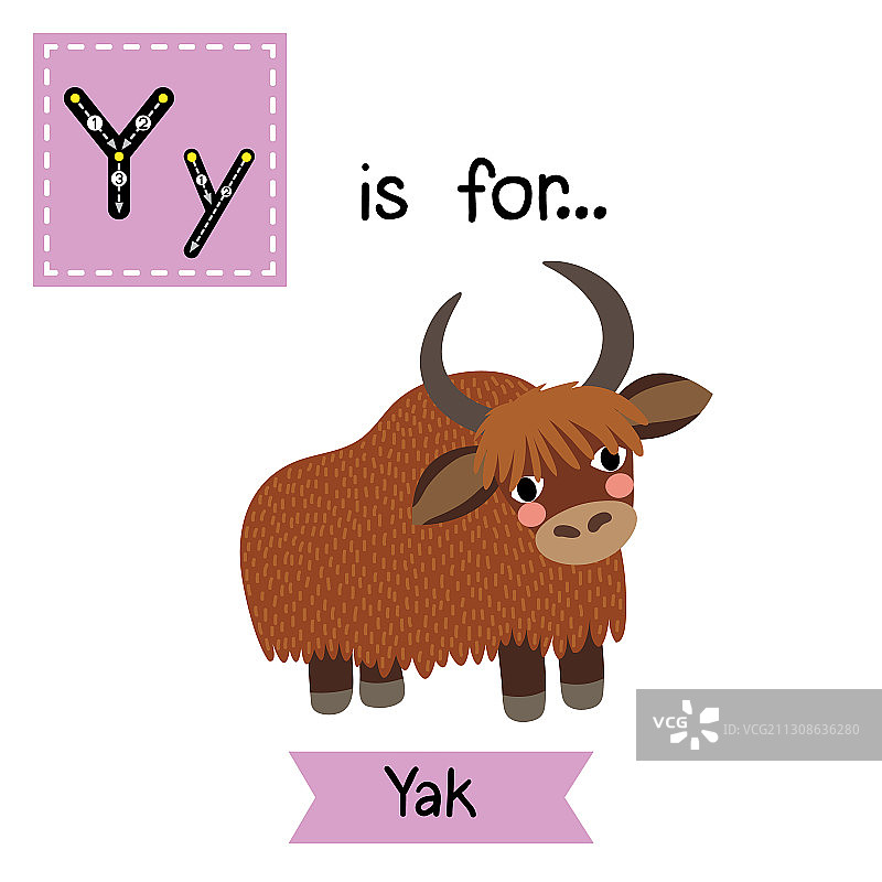 字母Y描摹牦牛图片素材