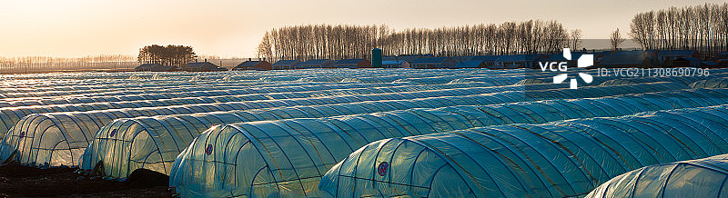 黑龙江省抚远市农田风光图片素材