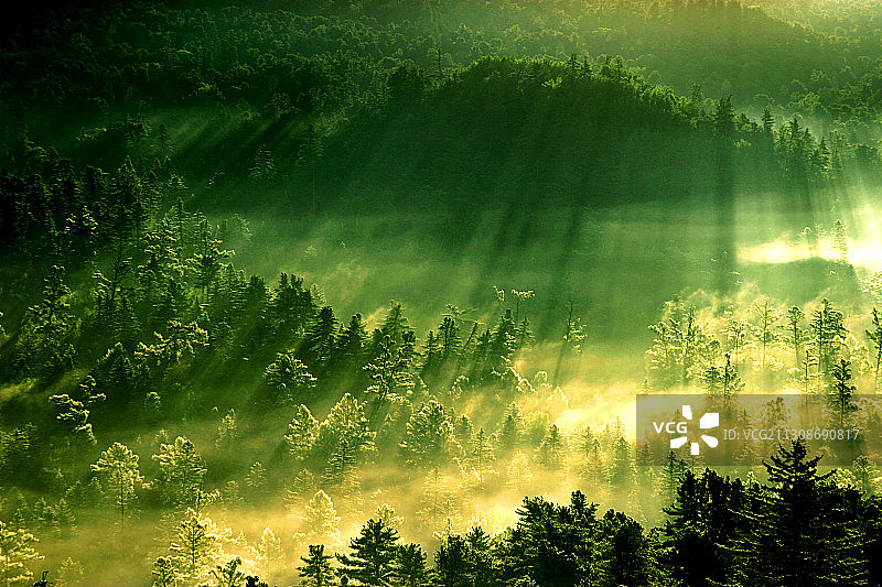 黑龙江省小兴安岭五营国家森林公园图片素材