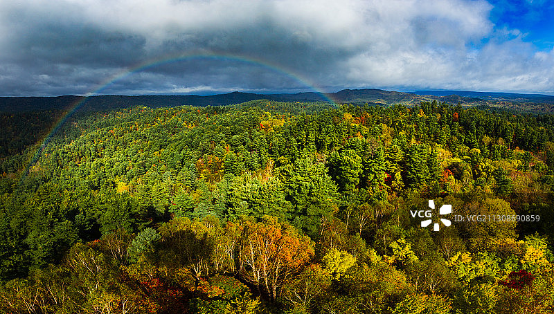 黑龙江省小兴安岭五营国家森林公园图片素材
