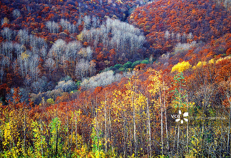 黑龙江省鹤岗市萝北县太平沟秋景图片素材