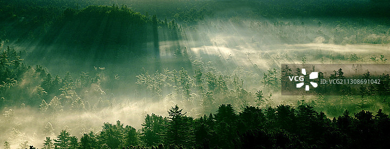 黑龙江省小兴安岭五营国家森林公园图片素材