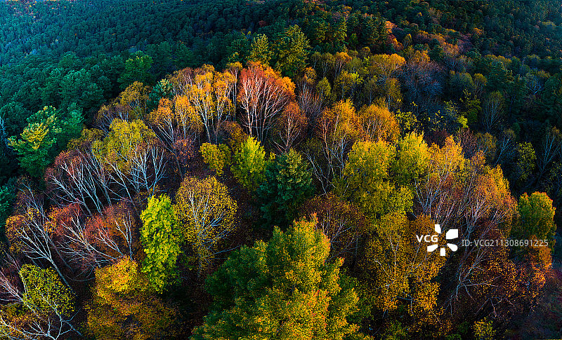 黑龙江省小兴安岭五营国家森林公园图片素材