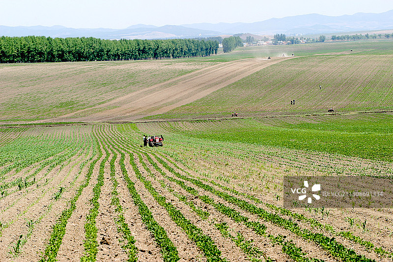 黑龙江省佳木斯市桦南县农田图片素材