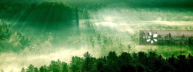 黑龙江省小兴安岭五营国家森林公园图片素材