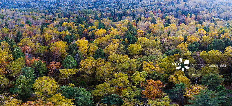 黑龙江省伊春市汤旺河风景区图片素材