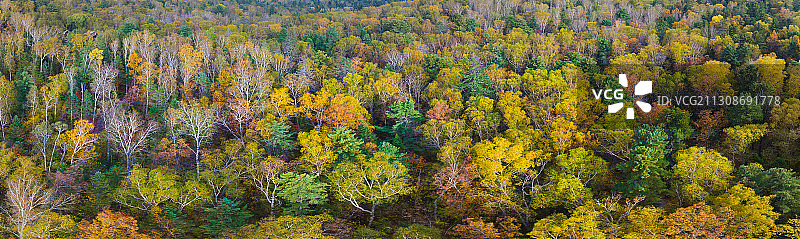 黑龙江省伊春市汤旺河风景区图片素材