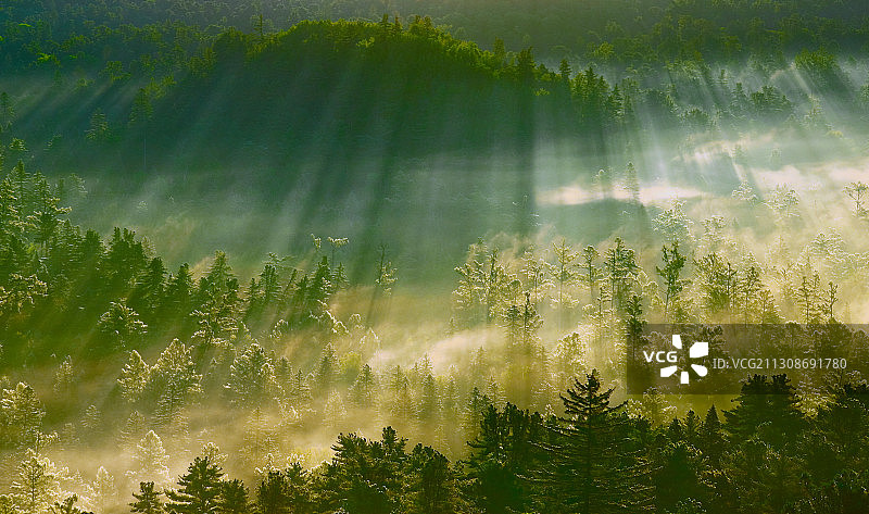 黑龙江省小兴安岭五营国家森林公园图片素材