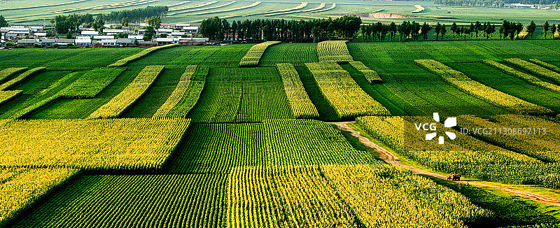 三江平原夏季农田图片素材